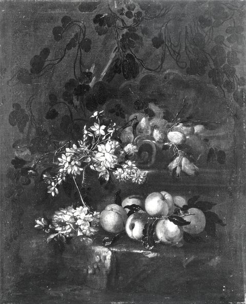 Studio Fotografico AS — Volò Giuseppe (Vicenzino) - sec. XVII/ XVIII - Natura morta con frutta e fiori — insieme